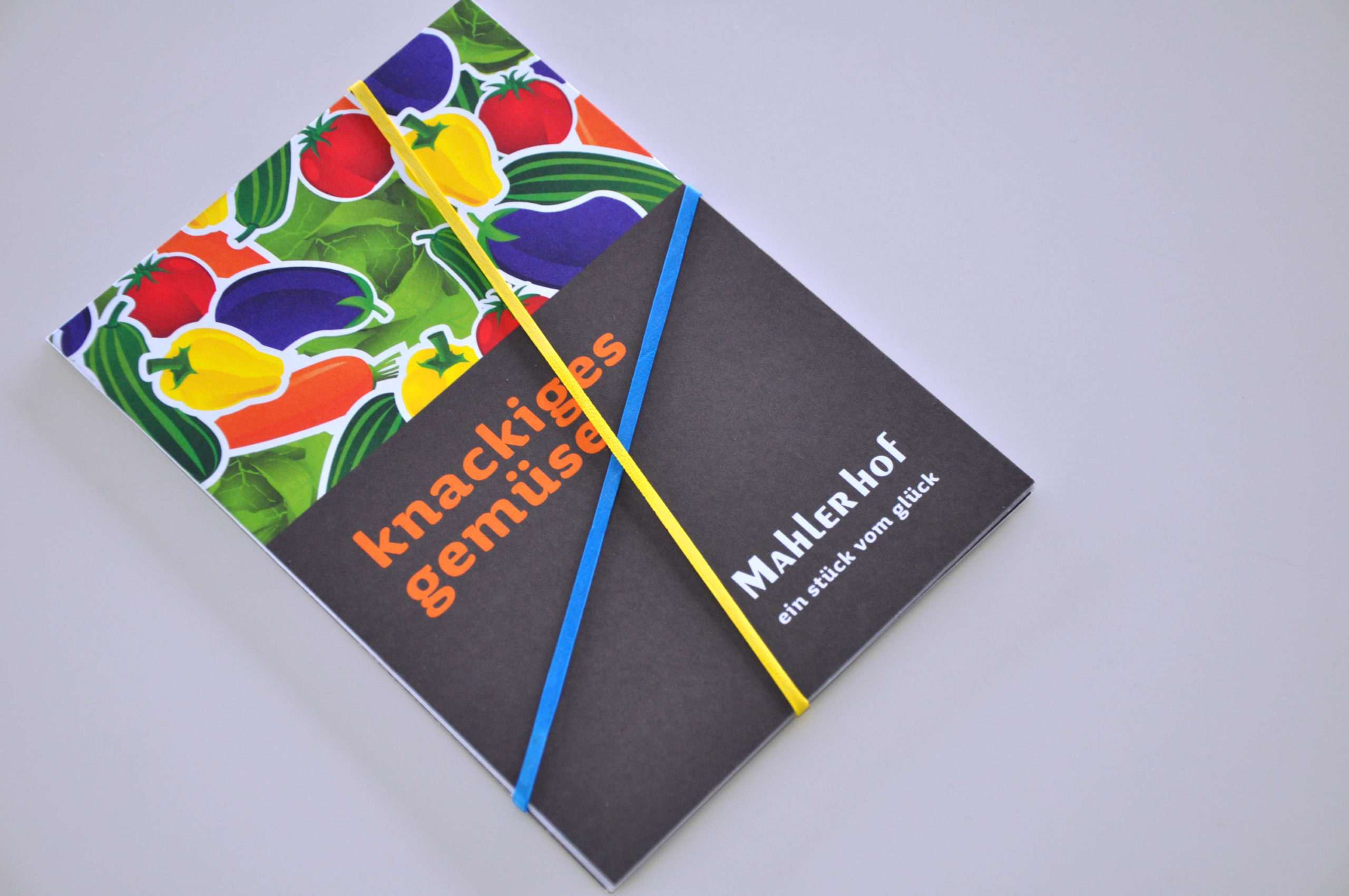 Mahlerhof Flyer